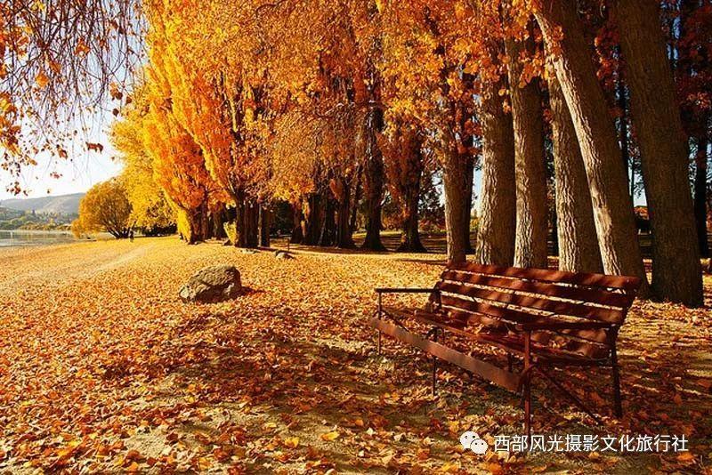 夯实基础设施建设 奏响和美乡村“幸福曲”
